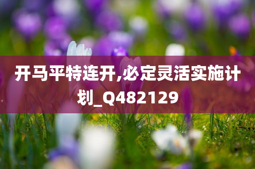 开马平特连开,必定灵活实施计划_Q482129