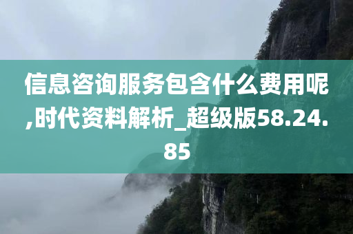 信息咨询服务包含什么费用呢,时代资料解析_超级版58.24.85