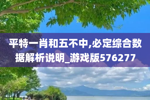 平特一肖和五不中,必定综合数据解析说明_游戏版576277