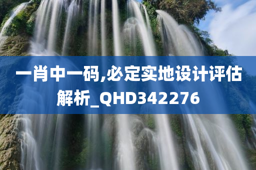 一肖中一码,必定实地设计评估解析_QHD342276