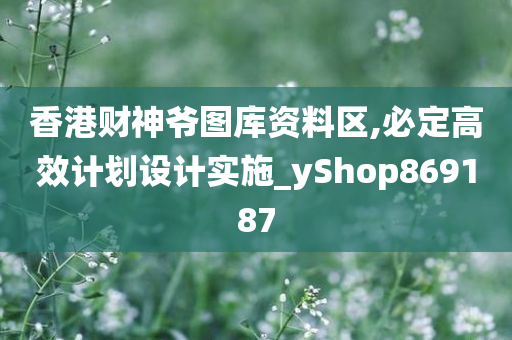 香港财神爷图库资料区,必定高效计划设计实施_yShop869187