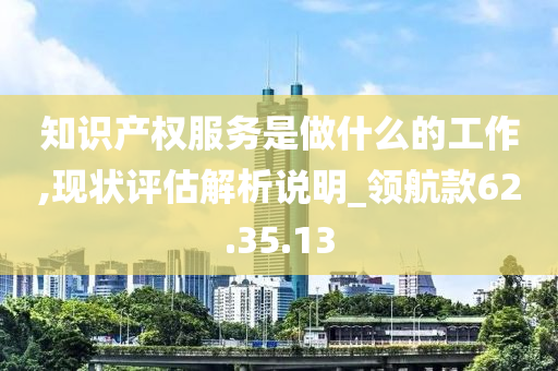 知识产权服务是做什么的工作,现状评估解析说明_领航款62.35.13