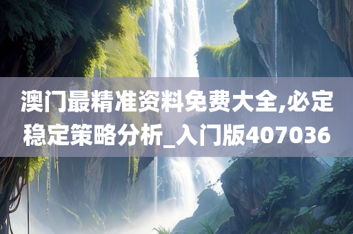 澳门最精准资料免费大全,必定稳定策略分析_入门版407036