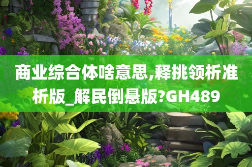 商业综合体啥意思,释挑领析准析版_解民倒悬版?GH489