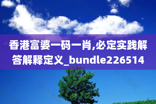 香港富婆一码一肖,必定实践解答解释定义_bundle226514