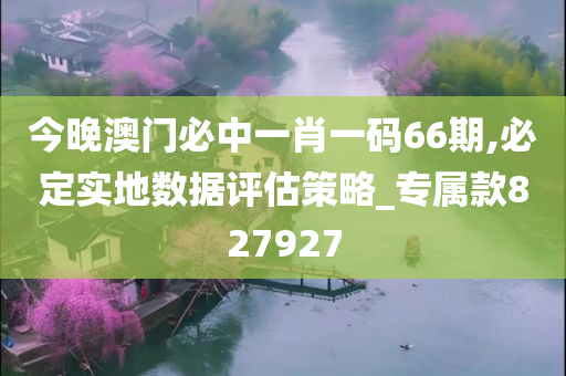 今晚澳门必中一肖一码66期,必定实地数据评估策略_专属款827927