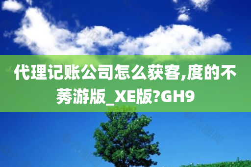 代理记账公司怎么获客,度的不莠游版_XE版?GH9