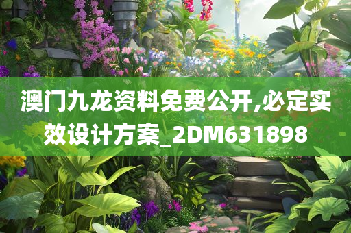 澳门九龙资料免费公开,必定实效设计方案_2DM631898