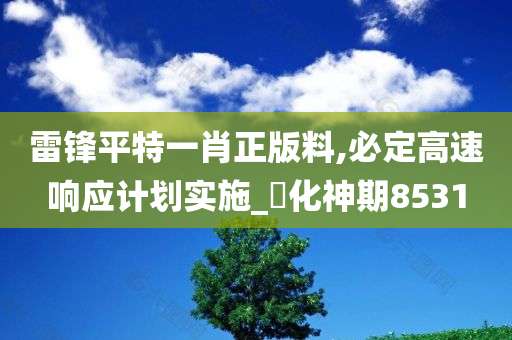 雷锋平特一肖正版料,必定高速响应计划实施_‌化神期8531