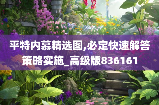 平特内慕精选图,必定快速解答策略实施_高级版836161