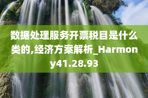 数据处理服务开票税目是什么类的,经济方案解析_Harmony41.28.93