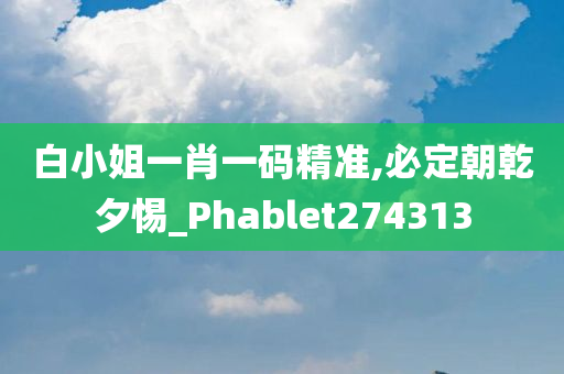 白小姐一肖一码精准,必定朝乾夕惕_Phablet274313