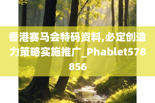 香港赛马会特码资料,必定创造力策略实施推广_Phablet578856