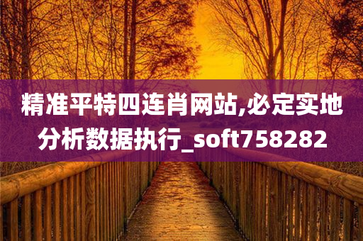 精准平特四连肖网站,必定实地分析数据执行_soft758282