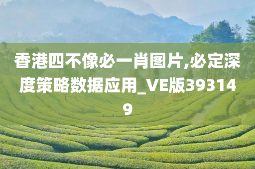 香港四不像必一肖图片,必定深度策略数据应用_VE版393149