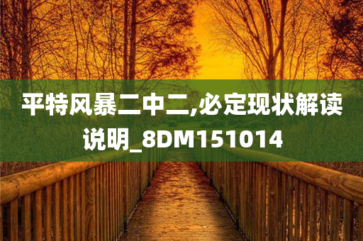 平特风暴二中二,必定现状解读说明_8DM151014