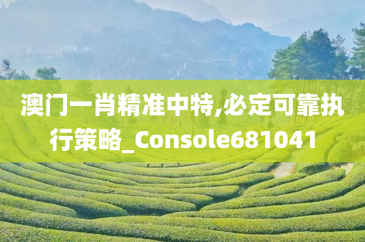 澳门一肖精准中特,必定可靠执行策略_Console681041