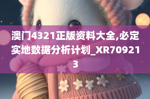 澳门4321正版资料大全,必定实地数据分析计划_XR709213