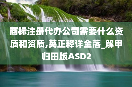 商标注册代办公司需要什么资质和资质,英正释详全落_解甲归田版ASD2