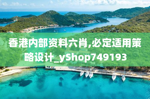 香港内部资料六肖,必定适用策略设计_yShop749193