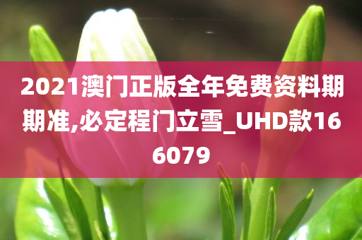 2021澳门正版全年免费资料期期准,必定程门立雪_UHD款166079