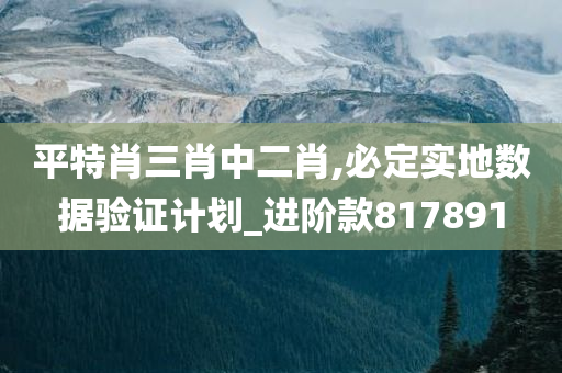 平特肖三肖中二肖,必定实地数据验证计划_进阶款817891