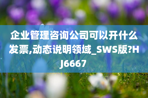 企业管理咨询公司可以开什么发票,动态说明领域_SWS版?HJ6667