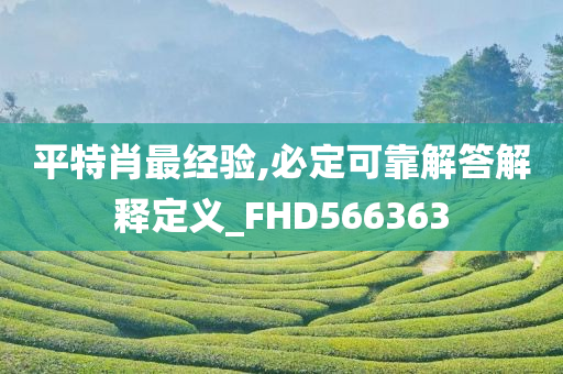 平特肖最经验,必定可靠解答解释定义_FHD566363