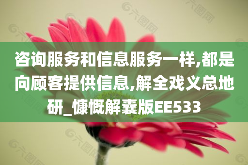 咨询服务和信息服务一样,都是向顾客提供信息,解全戏义总地研_慷慨解囊版EE533