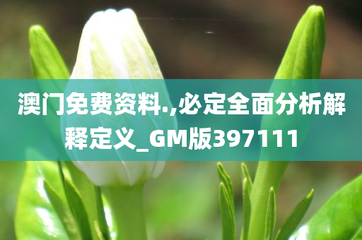 澳门免费资料.,必定全面分析解释定义_GM版397111