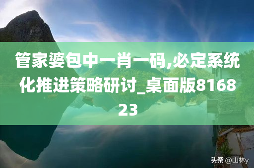 管家婆包中一肖一码,必定系统化推进策略研讨_桌面版816823