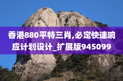 香港880平特三肖,必定快速响应计划设计_扩展版945099