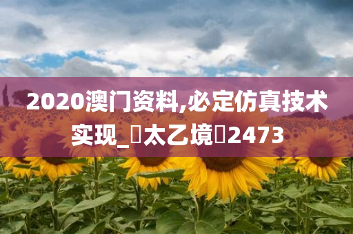 2020澳门资料,必定仿真技术实现_‌太乙境‌2473