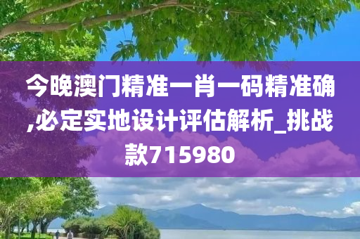 今晚澳门精准一肖一码精准确,必定实地设计评估解析_挑战款715980