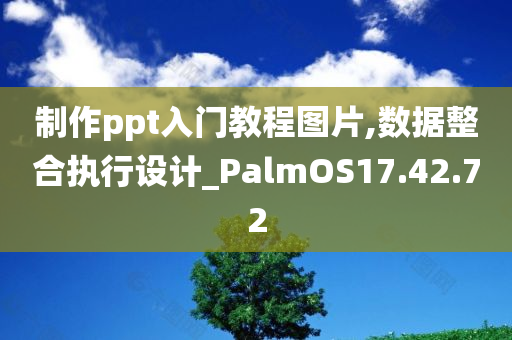 制作ppt入门教程图片,数据整合执行设计_PalmOS17.42.72