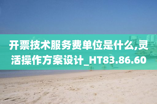 开票技术服务费单位是什么,灵活操作方案设计_HT83.86.60