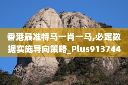 香港最准特马一肖一马,必定数据实施导向策略_Plus913744