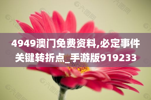 4949澳门免费资料,必定事件关键转折点_手游版919233