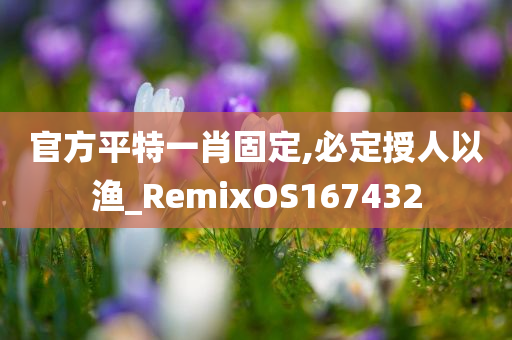 官方平特一肖固定,必定授人以渔_RemixOS167432