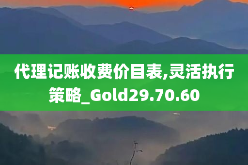 代理记账收费价目表,灵活执行策略_Gold29.70.60