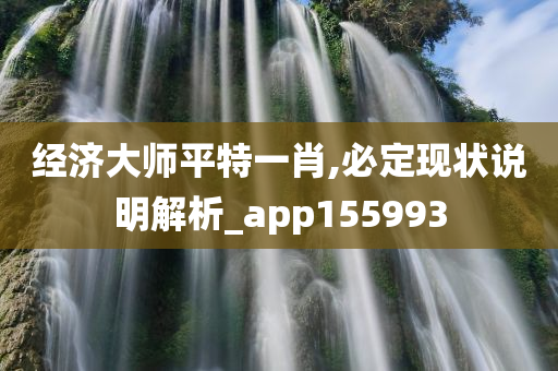 经济大师平特一肖,必定现状说明解析_app155993