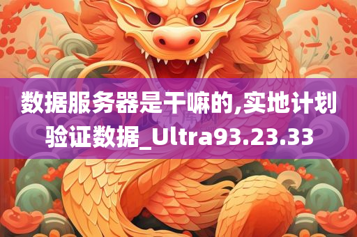 数据服务器是干嘛的,实地计划验证数据_Ultra93.23.33