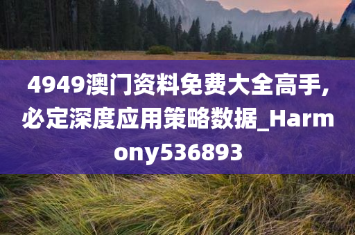 4949澳门资料免费大全高手,必定深度应用策略数据_Harmony536893