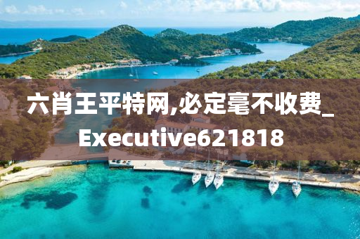 六肖王平特网,必定毫不收费_Executive621818