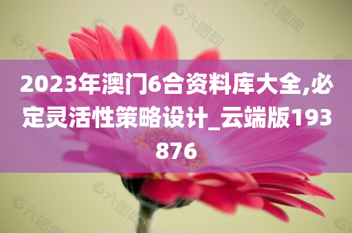 2023年澳门6合资料库大全,必定灵活性策略设计_云端版193876