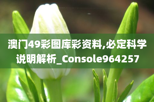 澳门49彩图库彩资料,必定科学说明解析_Console964257