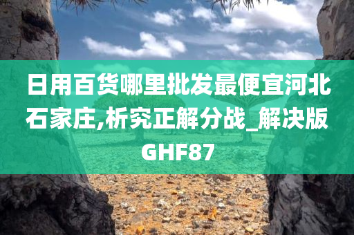 日用百货哪里批发最便宜河北石家庄,析究正解分战_解决版GHF87