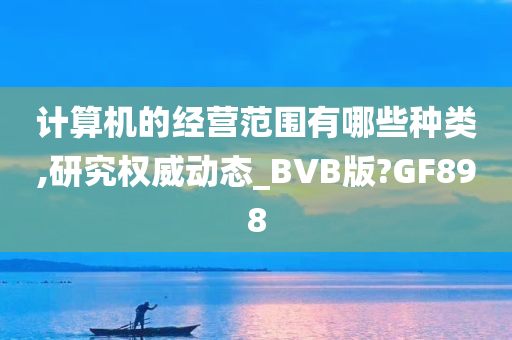 计算机的经营范围有哪些种类,研究权威动态_BVB版?GF898