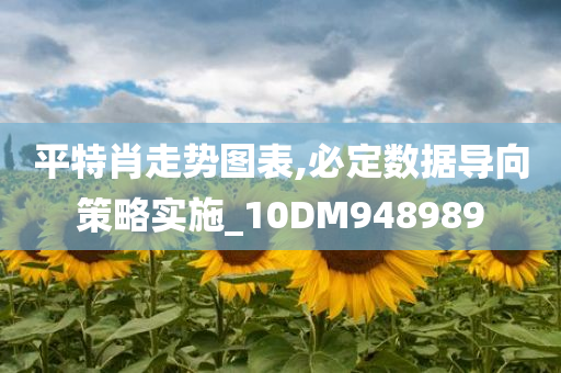 平特肖走势图表,必定数据导向策略实施_10DM948989