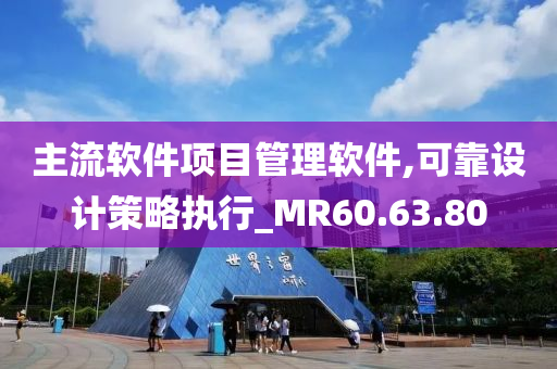 主流软件项目管理软件,可靠设计策略执行_MR60.63.80